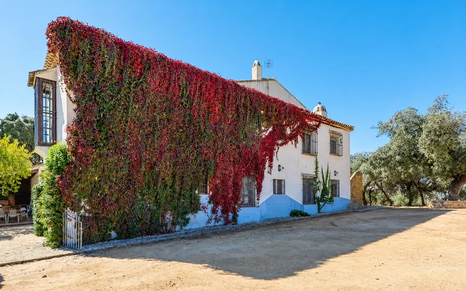 Zonas comunes de la Casa